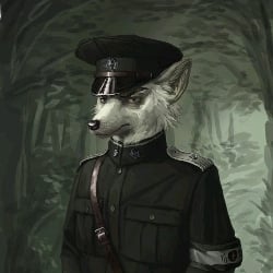 Mr. Wolf