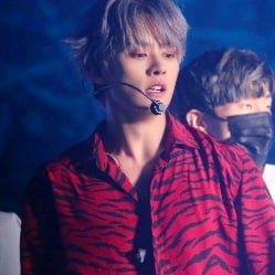 Minho (Lee know)