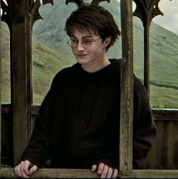 Harry Potter ¿!