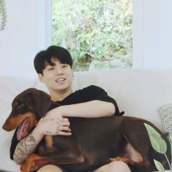 •°→Jungkook←°•