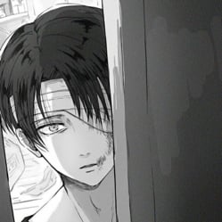 ☆ Levi Ackerman ★