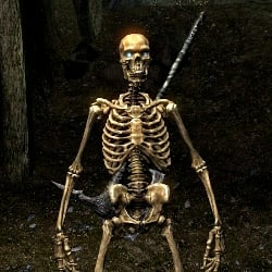 skyrim skeleton