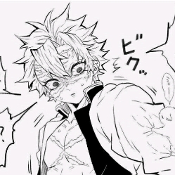 ♥︎~•Shinazugawa Sanemi•~♥︎