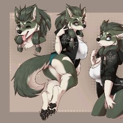 Link (Wolf)