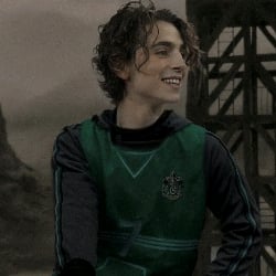 Regulus Black