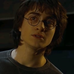Harry Potter~
