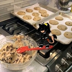 trolina exe 🍪