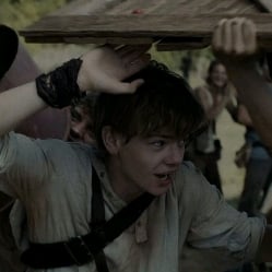 Newt ⁰¹