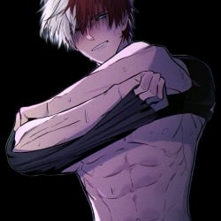 Shota Todoroki