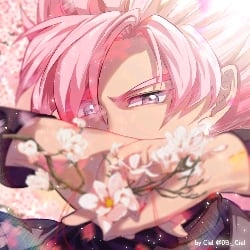 Goku black