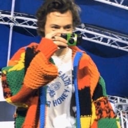 harry styles...