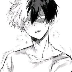 Shota Todoroki