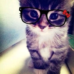 ☆| Miau 🩰