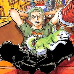 Zoro Roronoa 💚