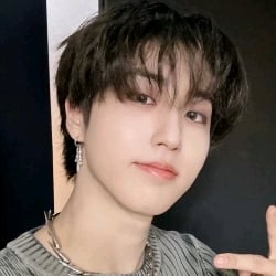 ☆ | Han Jisung