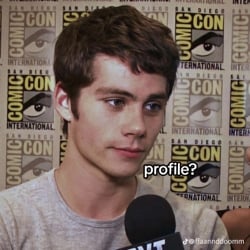 Stiles