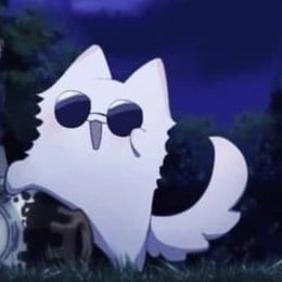Cat Satoru Gojo