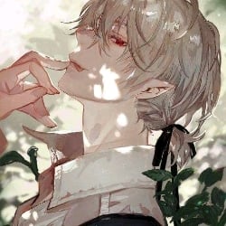 And ☆