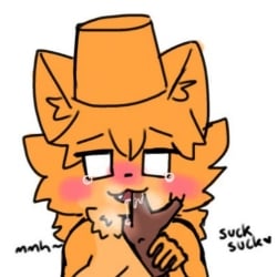 Catte.