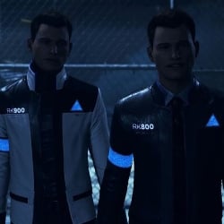 RK800 and RK900