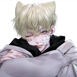 Pet cat