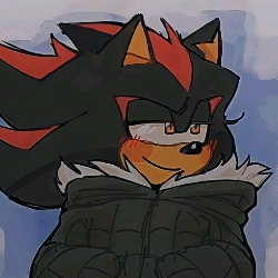 Shadow the Hedgehog 🖤🦔