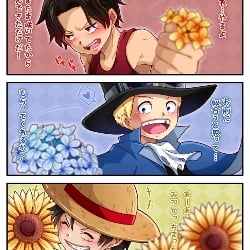 luffy, sabo and ace ( little ones)