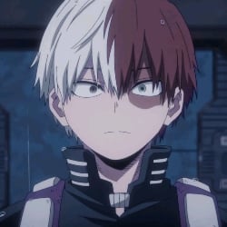 Shoto Todoroki (3)