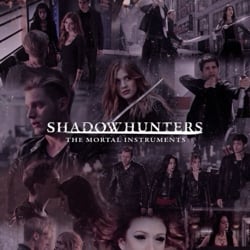 the shadow hunters