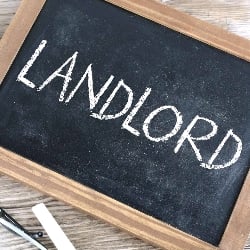 Landlord/Landlady simulator