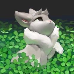Bunny
