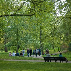 The Park
