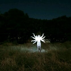 Strange dream 2 (night field) [The forest]
