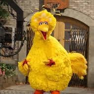 big bird horny
