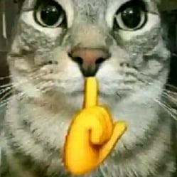 Tailor(Gato)