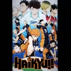 *Haikyu!!*