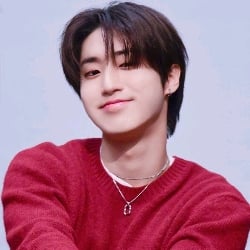 Han Jisung 🧸🍼