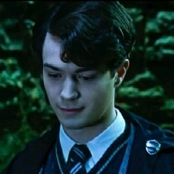 *Tom Marvolo Riddle...