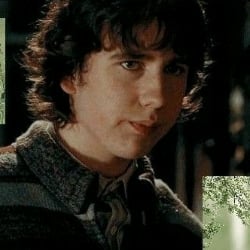 Neville Longbottom