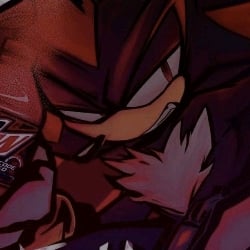 Shadow t hedgehog