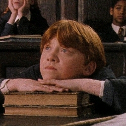 Ron Weasley /2/