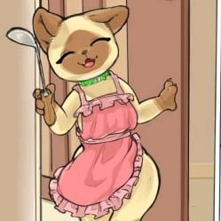 Eliah, the Lost Kitten