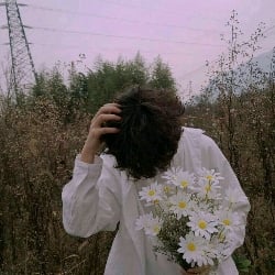 Noah