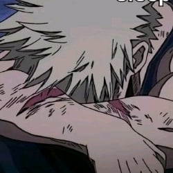 katsuki bakugou [a small seed]
