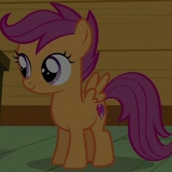 Scootalo
