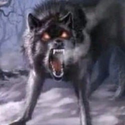 loba sola