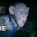 Bad Ape