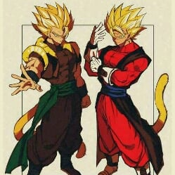Gogeta and Vegeta
