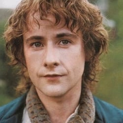 Pippin Took