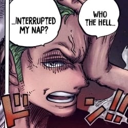 💚🍾|Zoro|(your owner...)🍾💚